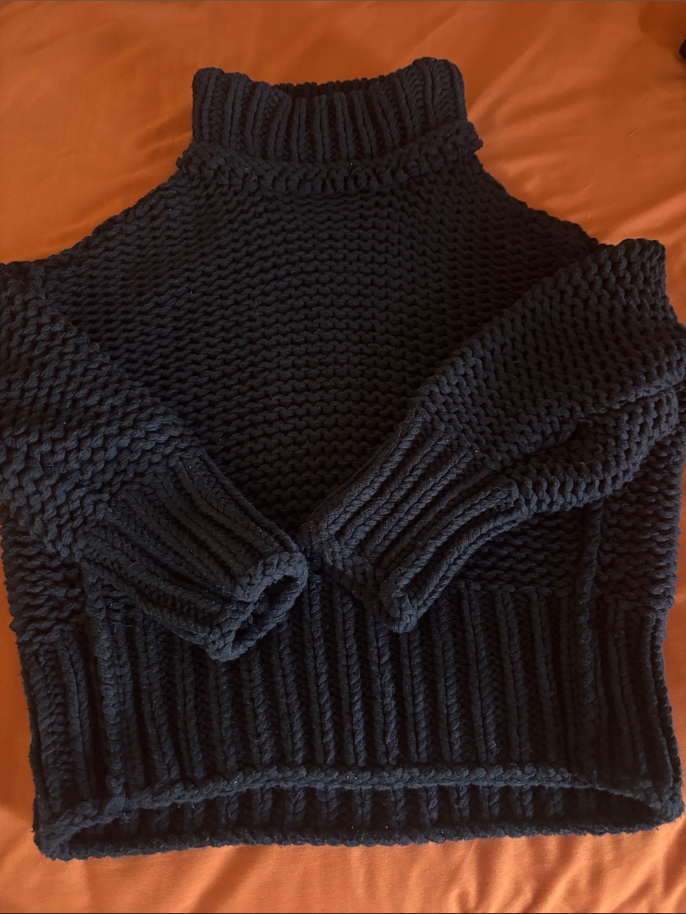 Free People Black Chunky Turtleneck Sweater
